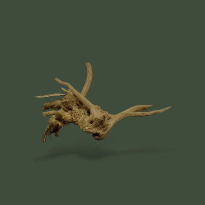 Morceau de bois naturel pour terrarium – L’Atelier Terrator