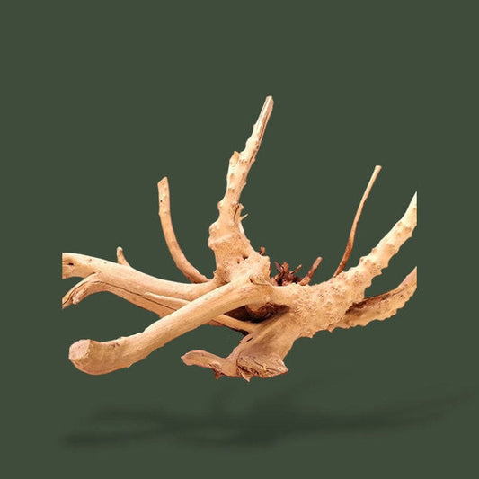 Bois flotté pour terrarium – L’Atelier Terrator