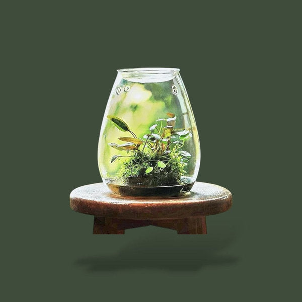 Vase a terrarium – L’Atelier Terrator