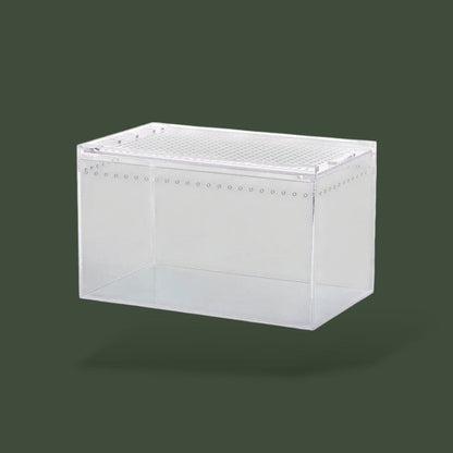 Boite avec aération en acrylique pour reptile – L’Atelier Terrator