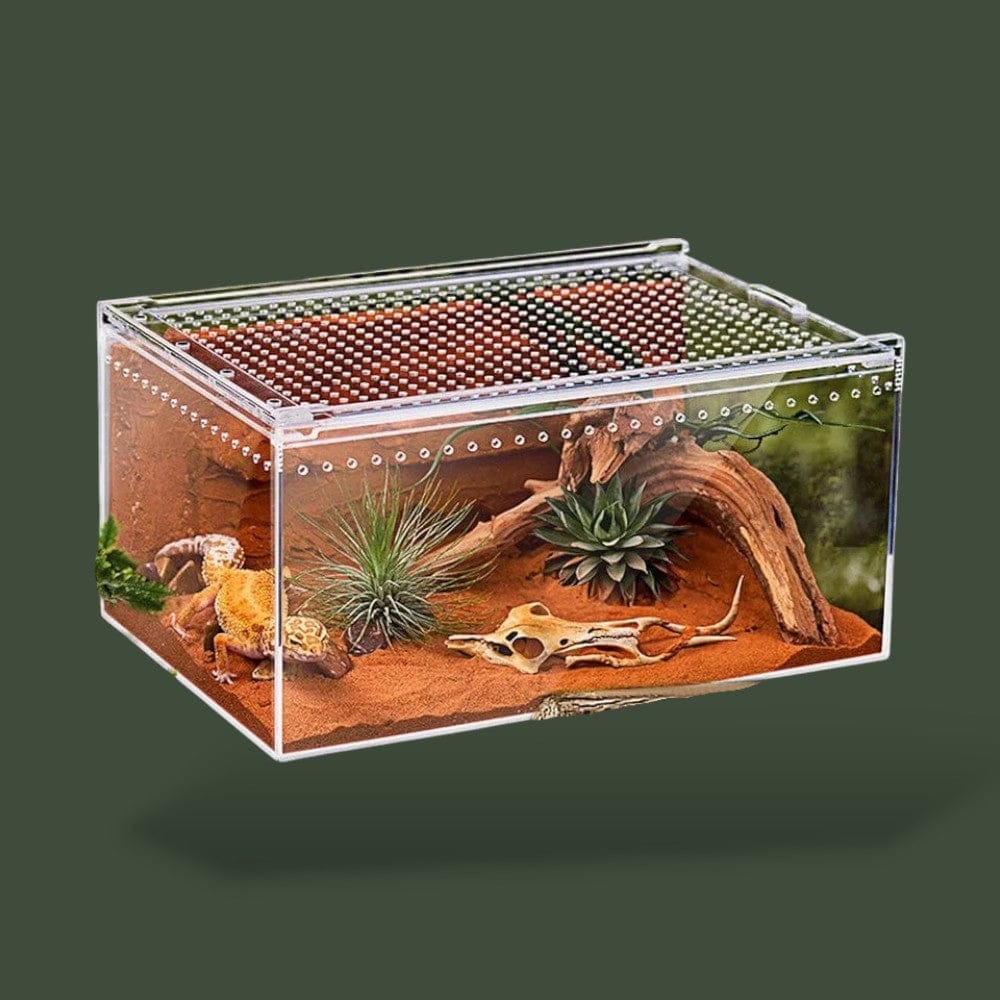 Boite avec aération en acrylique pour reptile – L’Atelier Terrator
