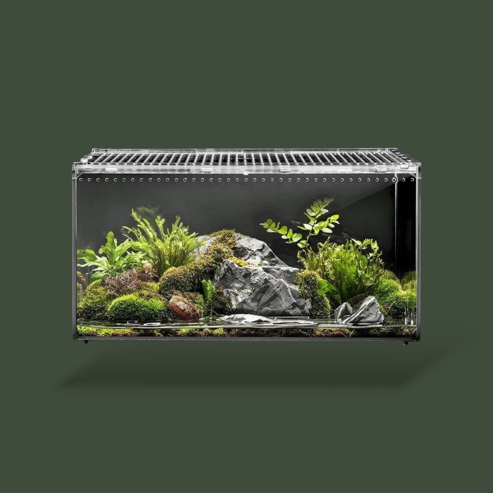 Boite avec aération en acrylique pour reptile – L’Atelier Terrator