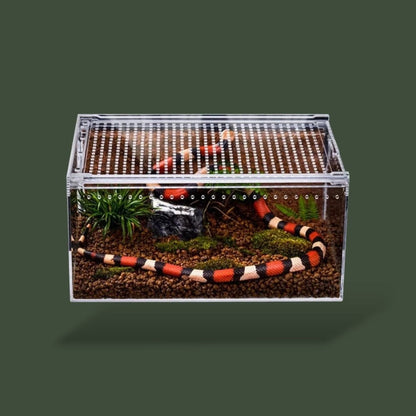 Boite en acrylique pour terrarium a reptiles – L’Atelier Terrator