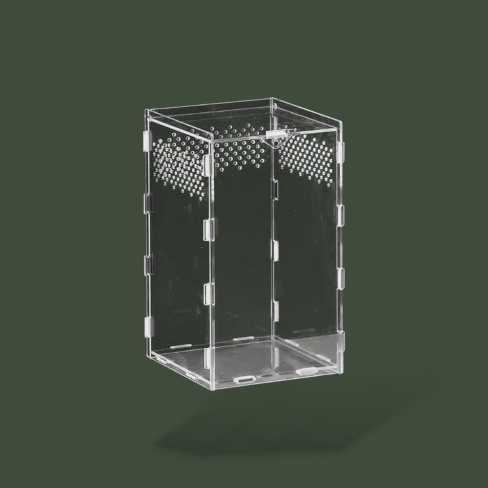 Boite ventilée en plexiglass pour reptile – L’Atelier Terrator