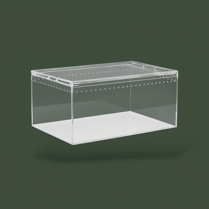 Terrarium a araignée – L’Atelier Terrator