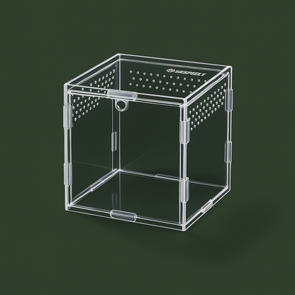 Boite ventilée en acrylique pour araignée – L’Atelier Terrator