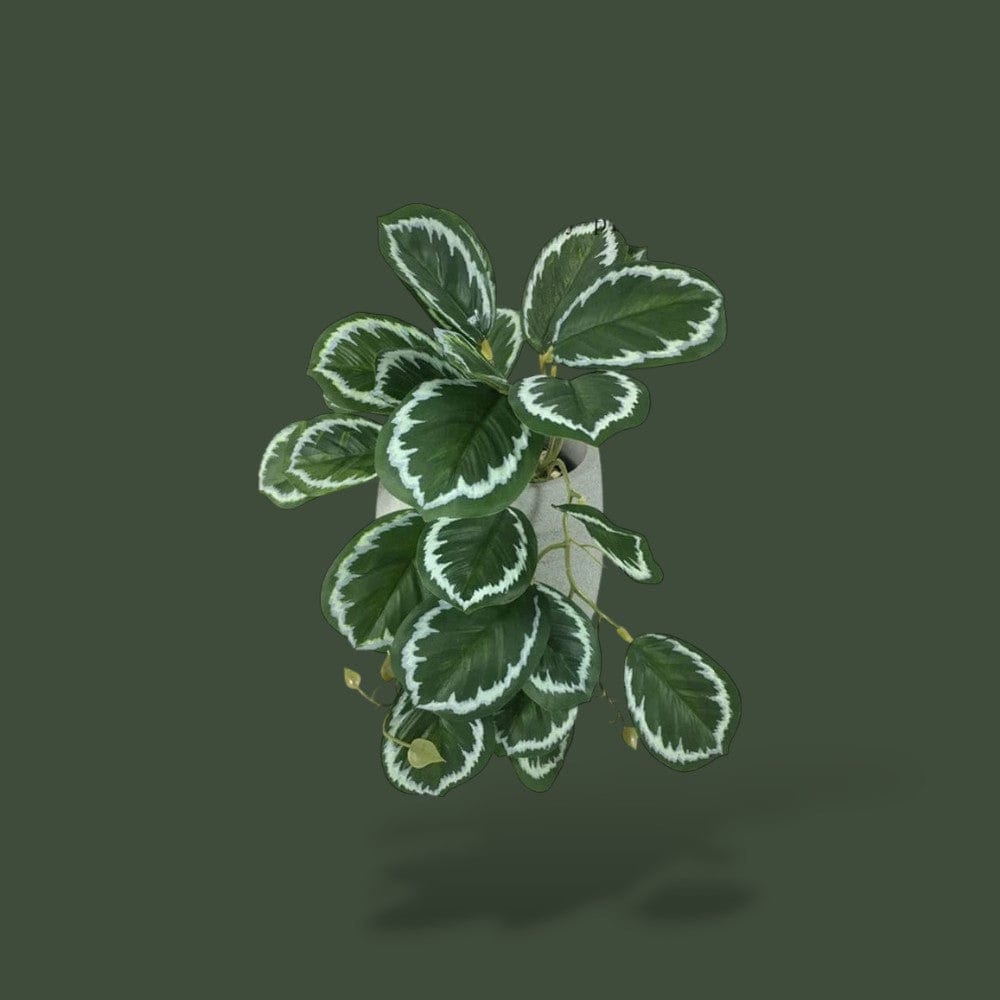 Fausse plante tropicale pour terrarium – L’Atelier Terrator