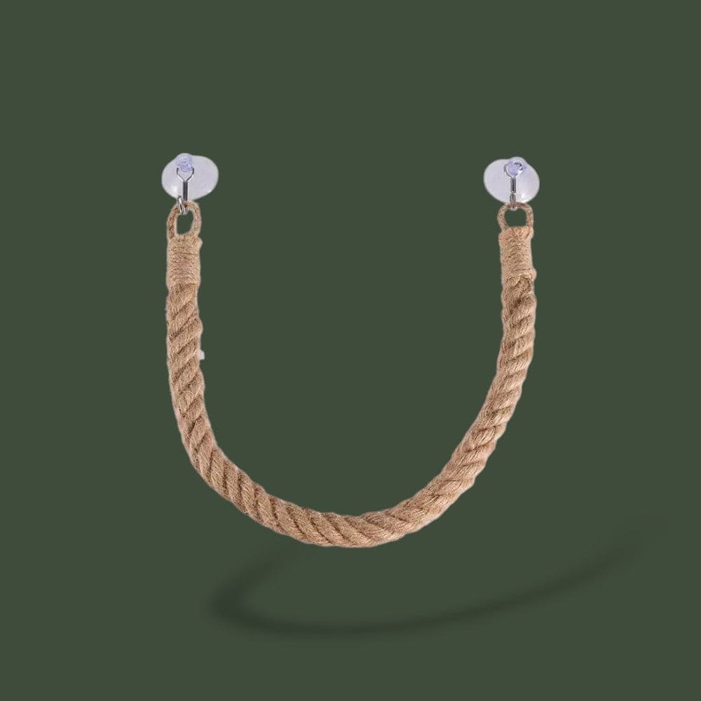 Corde d'escalade pour terrarium – L’Atelier Terrator