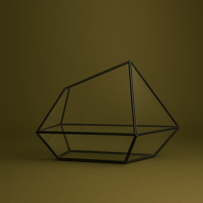 Grand terrarium géométrique pour plante – L’Atelier Terrator