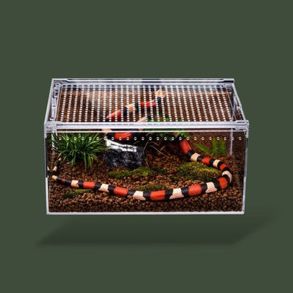 Grande boite ventilée en acrylique pour reptile – L’Atelier Terrator