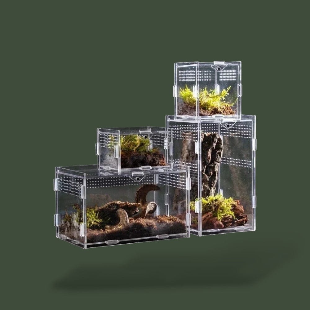 Habitat ventilée en acrylique pour reptile – L’Atelier Terrator