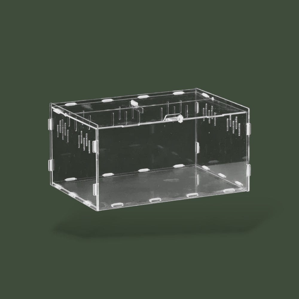 Habitat ventilée en acrylique pour reptile – L’Atelier Terrator