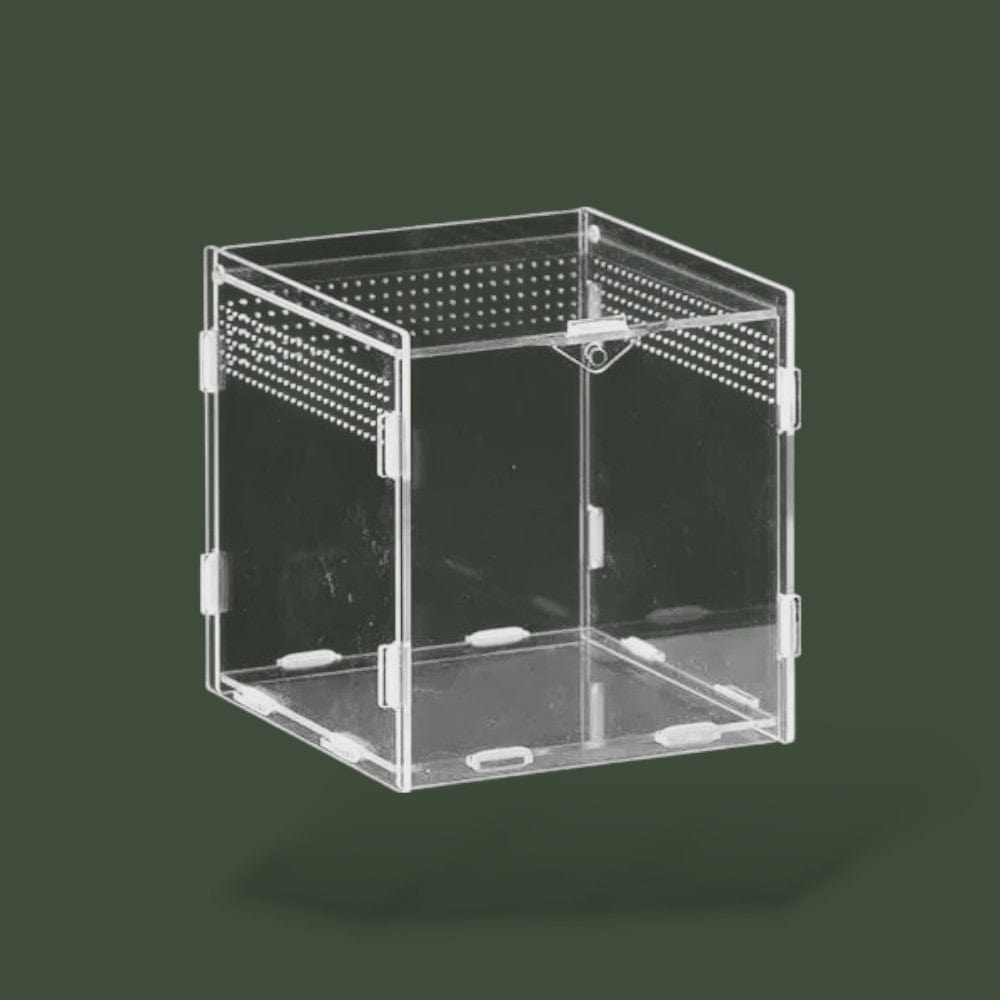 Petit terrarium ventilée en acrylique pour tortue terrestre – L’Atelier Terrator