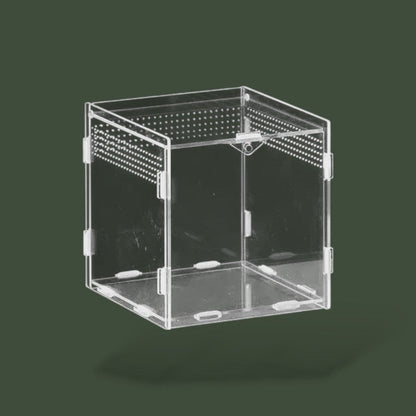 Petit terrarium ventilée en acrylique pour tortue terrestre – L’Atelier Terrator