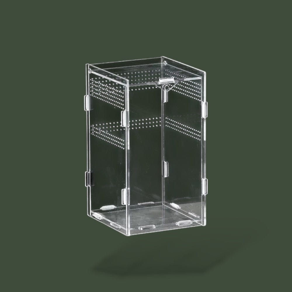 Terrarium ventilée pour petit serpent – L’Atelier Terrator