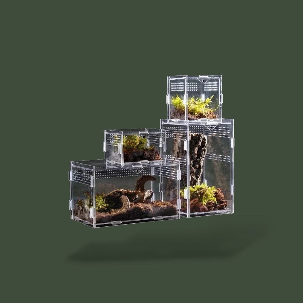 Grand terrarium ventilée en acrylique – L’Atelier Terrator