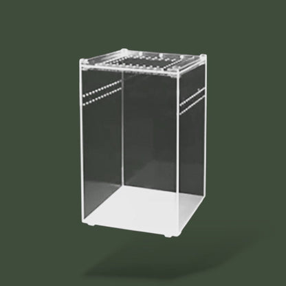 Terrarium en acrylique pour serpent – L’Atelier Terrator