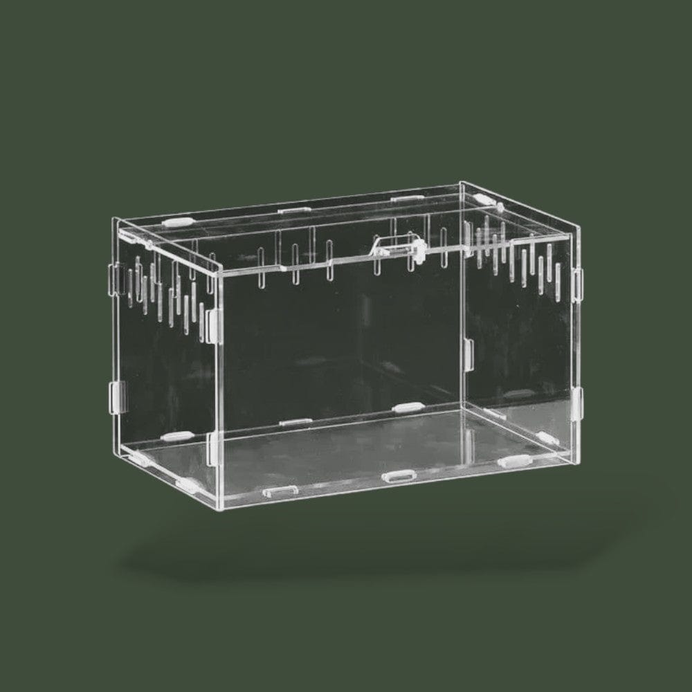 Enclos ventilée en acrylique pour reptile – L’Atelier Terrator