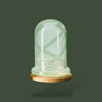 Terrarium en dôme pour plante – L’Atelier Terrator