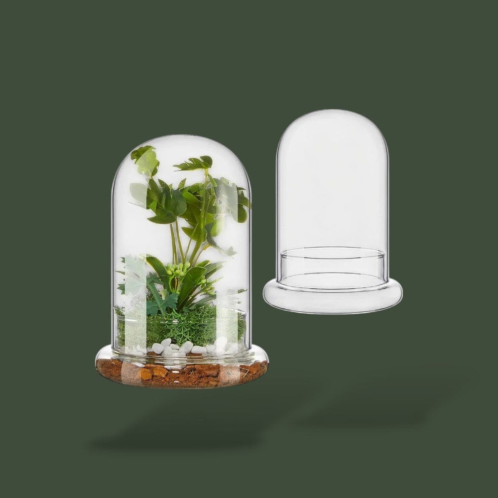 Terrarium en dôme pour plante – L’Atelier Terrator