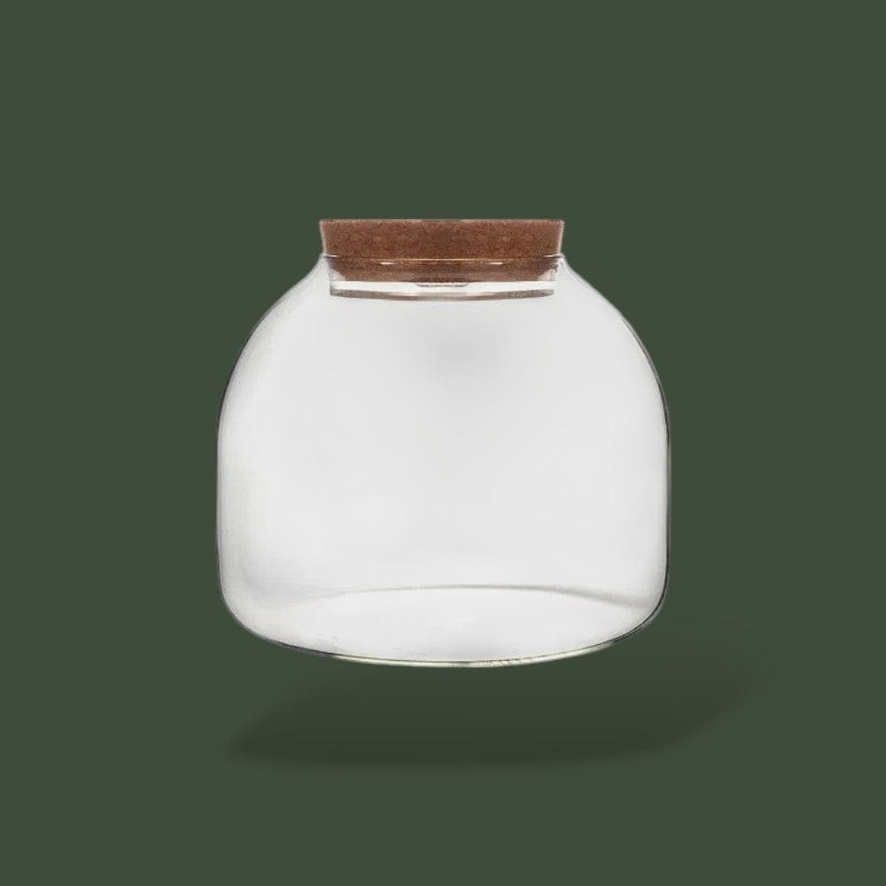 Vase en verre pour terrarium – L’Atelier Terrator