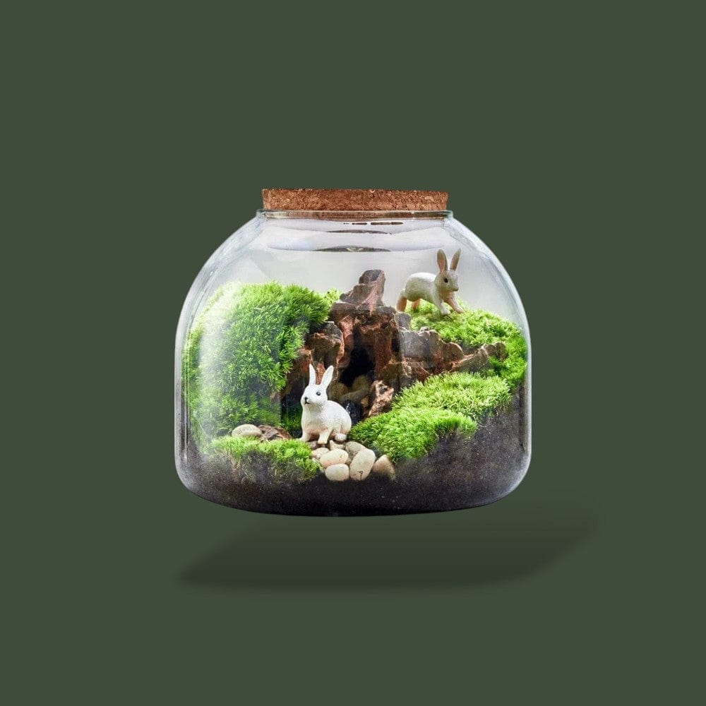 Vase en verre pour terrarium – L’Atelier Terrator